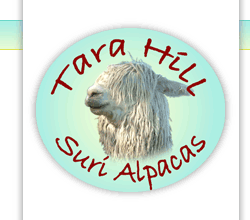 Tara Hill logo